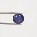 Iolite - 2937