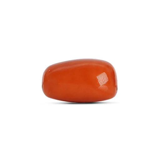 Red Coral - 4788