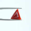 Red Coral - 1387
