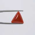 Red Coral - 3650