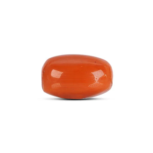 Red Coral - 4785