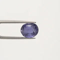Iolite - 2883