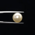 Pearl - 3594