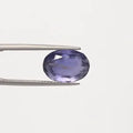 Iolite - 2892