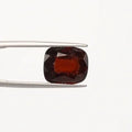 Hessonite - 1237