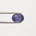 Iolite - 2899