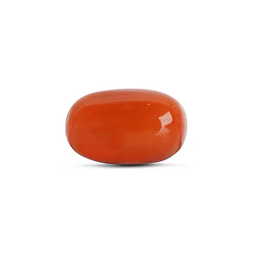 Red Coral - 4788