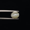 Cats Eye - 3350