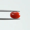 Red Coral - 346