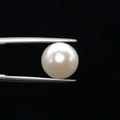 Pearl - 3597