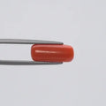 Red Coral - 137