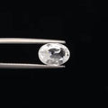 Zircon - 3209
