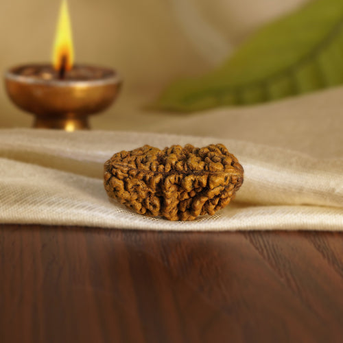 Front of the 1 Mukhi Rudraksha (Half-Moon) on silk beside a brass diya
