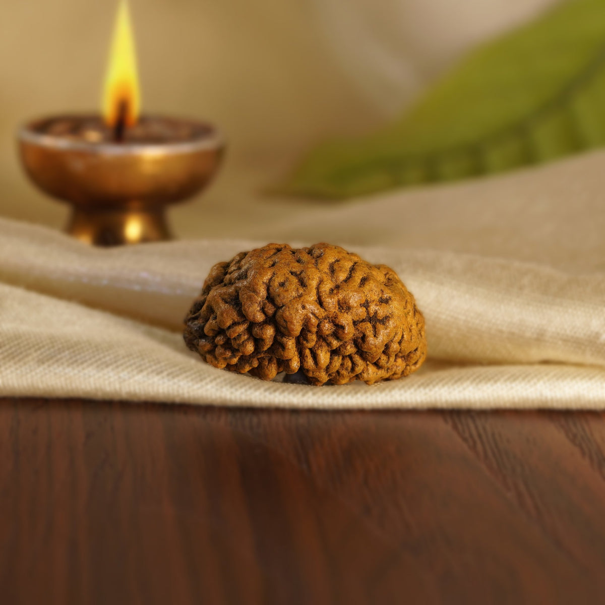 Back of the 1 Mukhi Rudraksha (Half-Moon) on silk