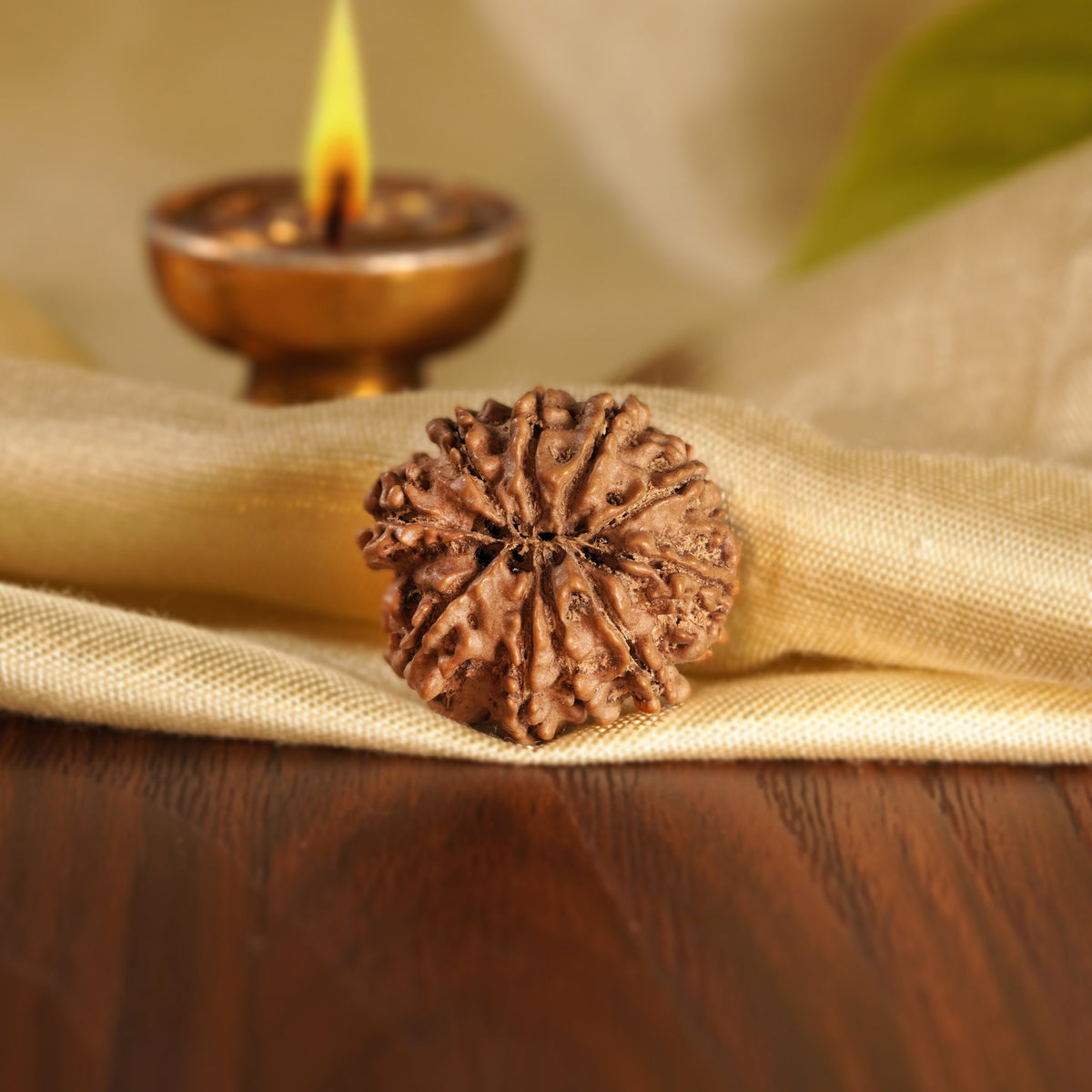 Back of the 10 Mukhi Rudraksha on silk
