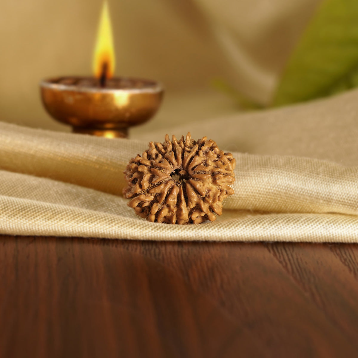 Front of the 11 Mukhi Rudraksha on silk beside a brass diya