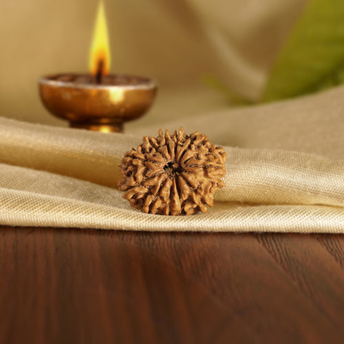 Front of the 11 Mukhi Rudraksha on silk beside a brass diya