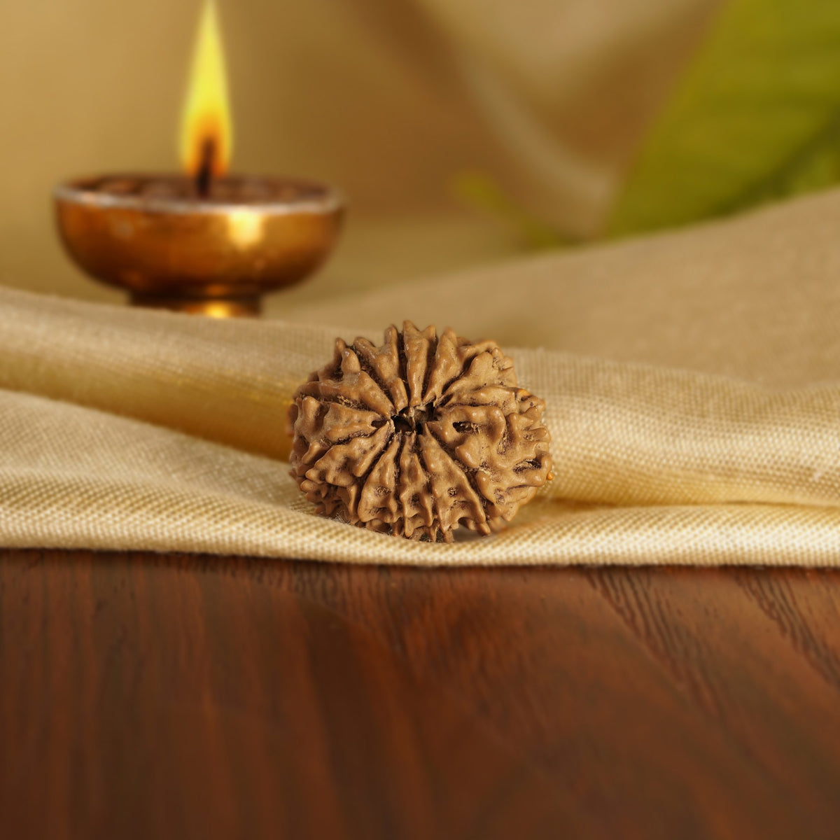 Back of the 11 Mukhi Rudraksha on silk