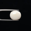 Opal - 742