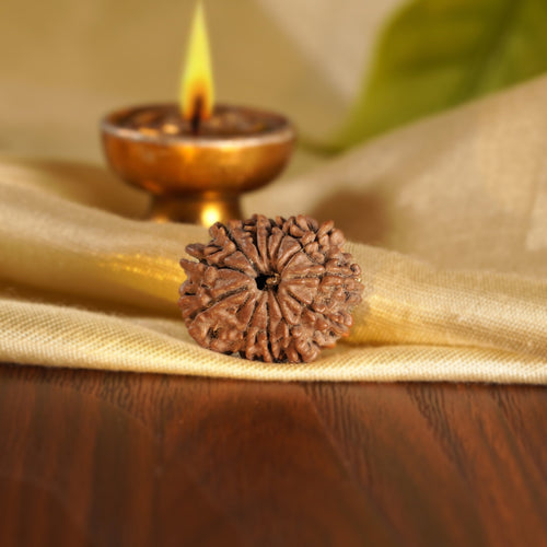 Front of the 12 Mukhi Rudraksha on silk beside a brass diya