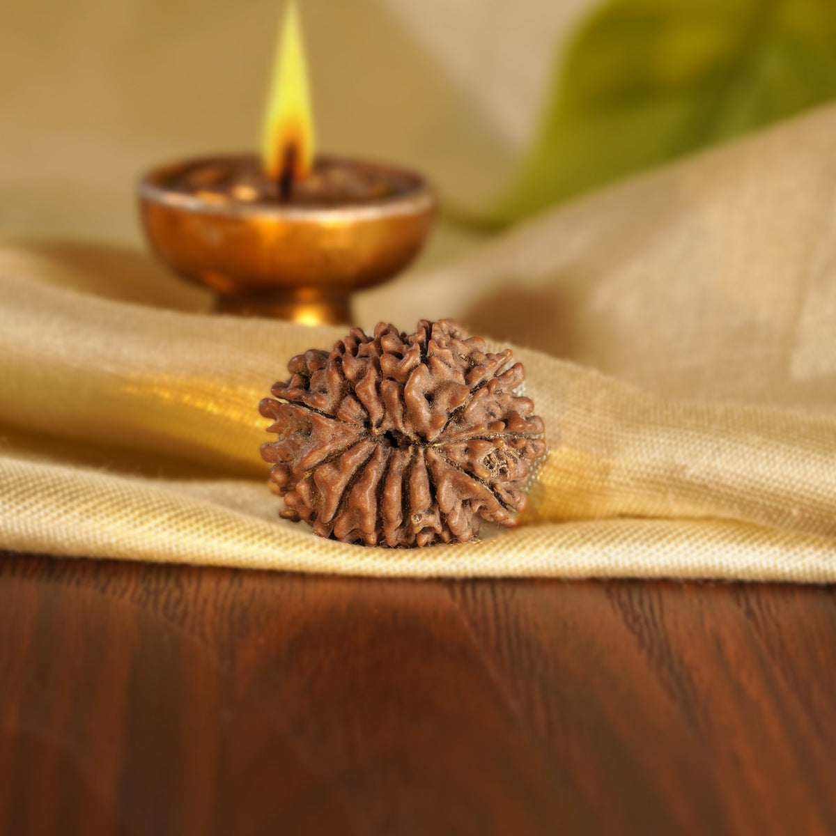 Back of the 12 Mukhi Rudraksha on silk
