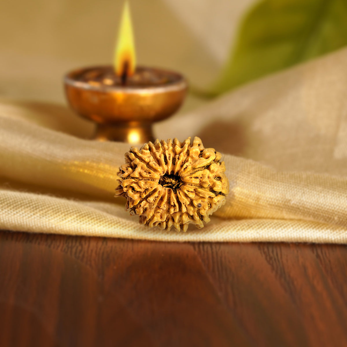 Front of the 13 Mukhi Rudraksha on silk beside a brass diya