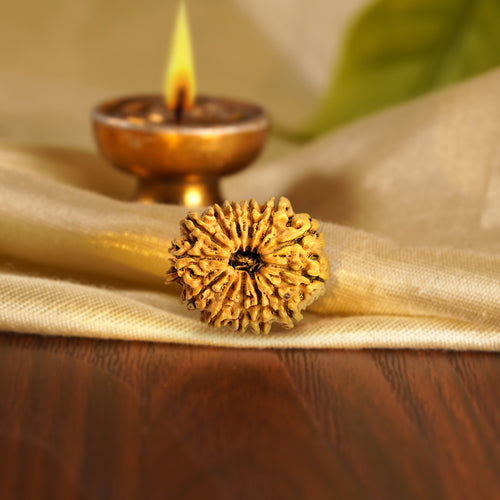 Front of the 13 Mukhi Rudraksha on silk beside a brass diya