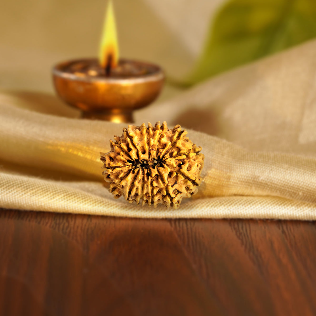 Back of the 13 Mukhi Rudraksha on silk