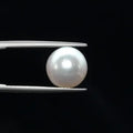 Pearl - 2735