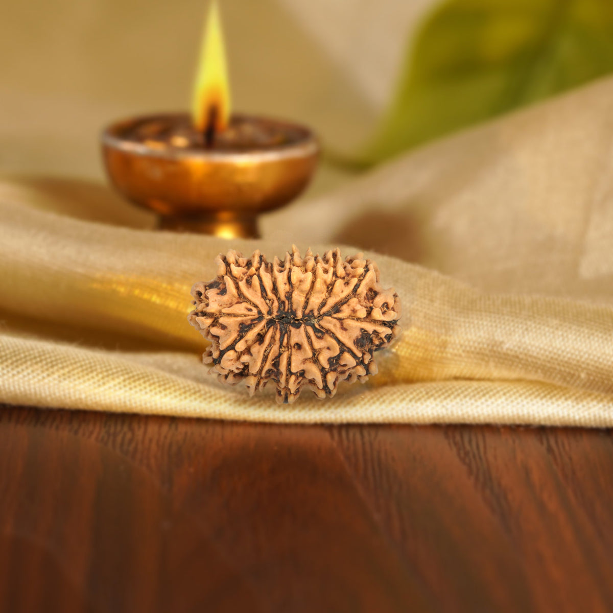 Back of the 14 Mukhi Rudraksha on silk