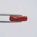 Red Coral - 132
