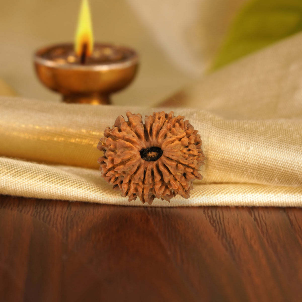 Front of the 15 Mukhi Rudraksha on silk beside a brass diya