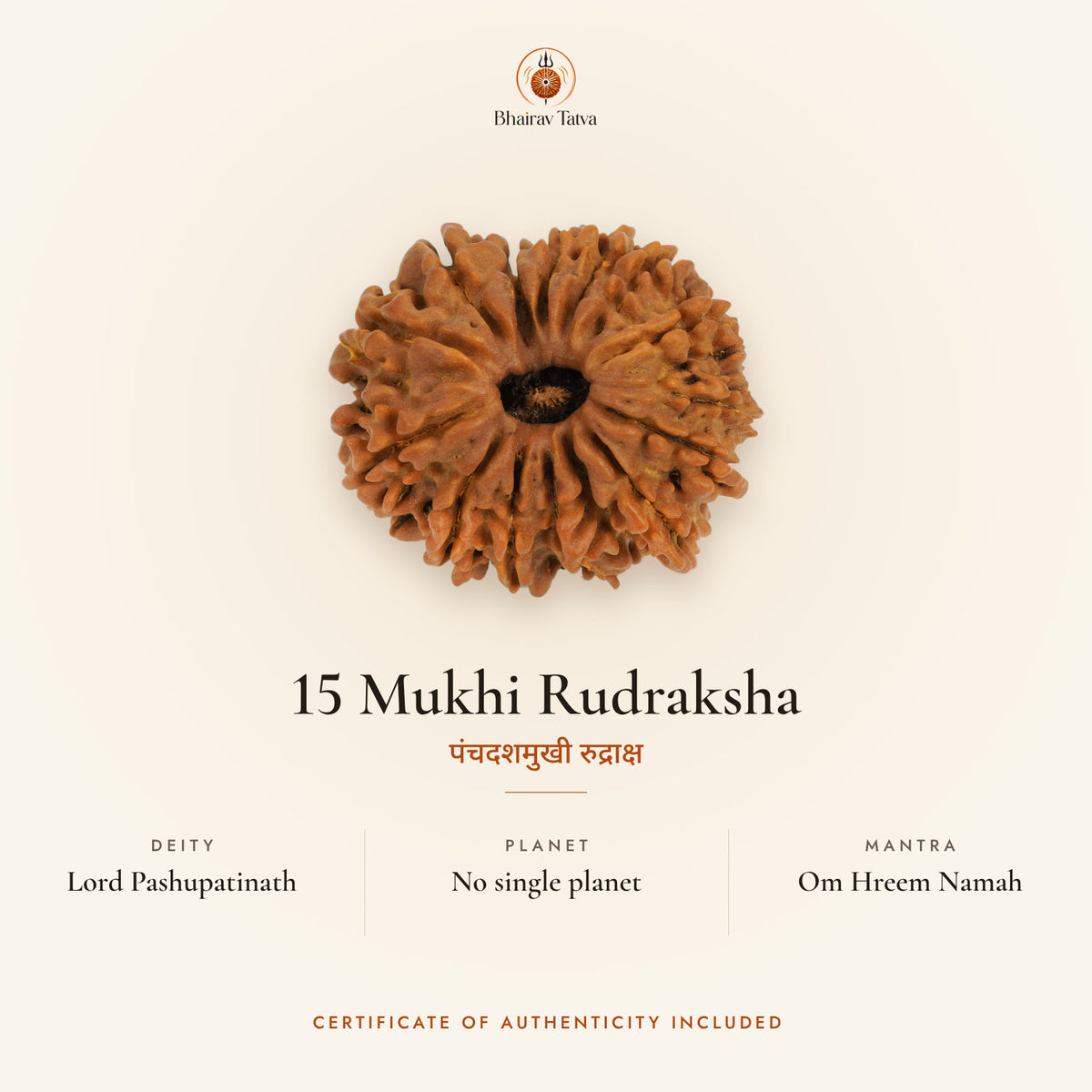15 Mukhi Rudraksha: deity Lord Pashupatinath, no single ruling planet, mantra Om Hreem Namah