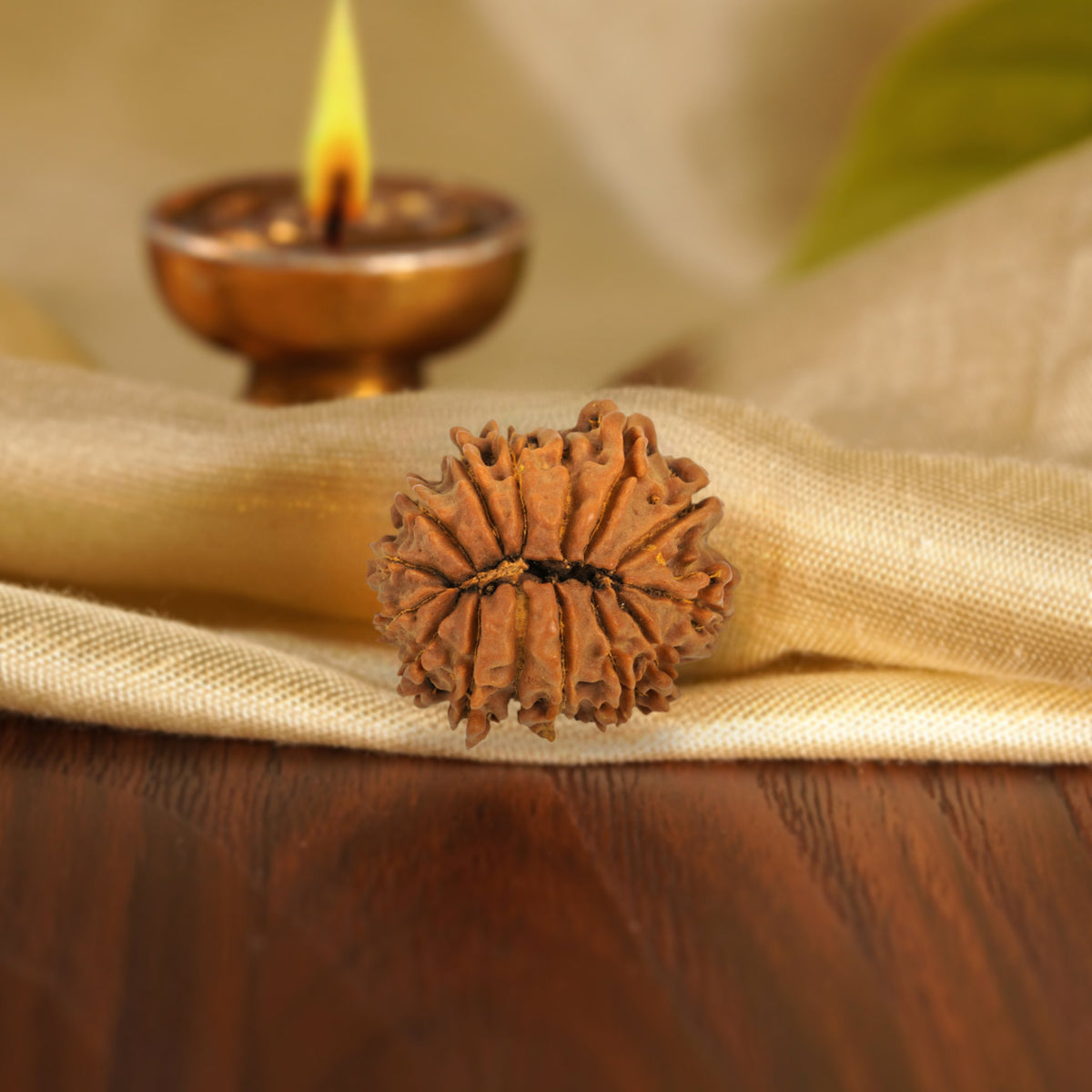 Back of the 15 Mukhi Rudraksha on silk