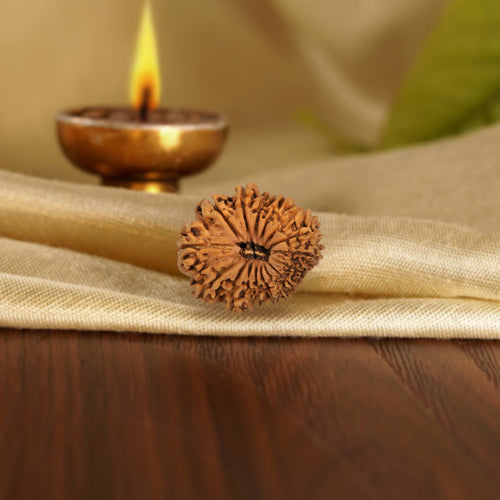 Front of the 16 Mukhi Rudraksha on silk beside a brass diya