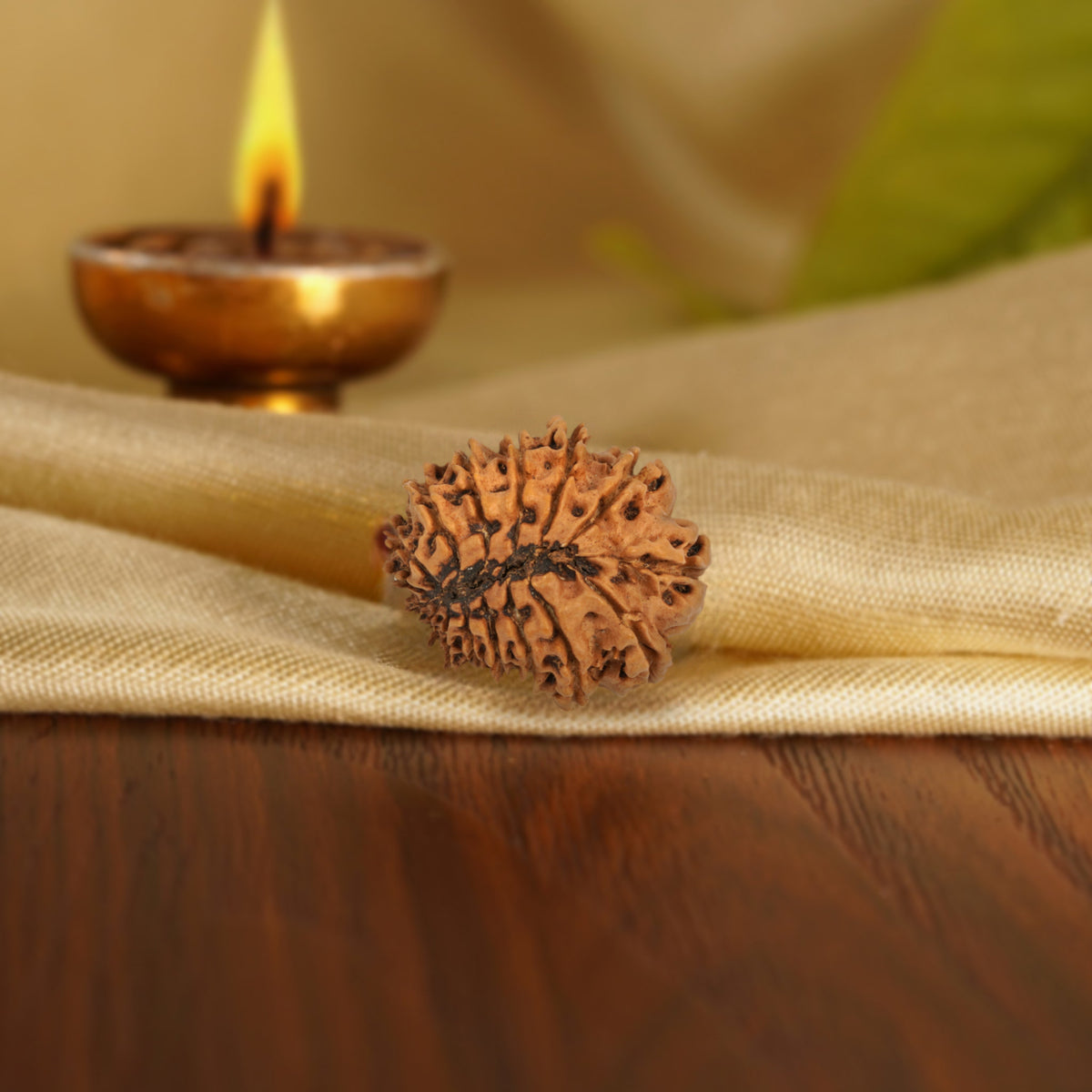 Back of the 16 Mukhi Rudraksha on silk