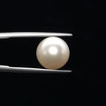 Pearl - 3588