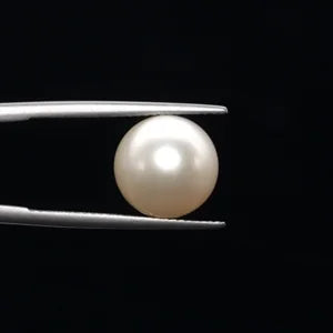 Pearl - 3588