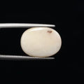 Fire Opal - 690
