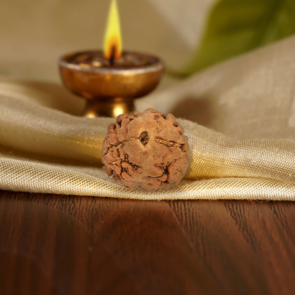 Front of the 2 Mukhi Rudraksha on silk beside a brass diya