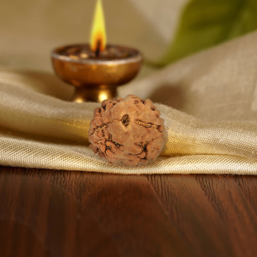 Front of the 2 Mukhi Rudraksha on silk beside a brass diya