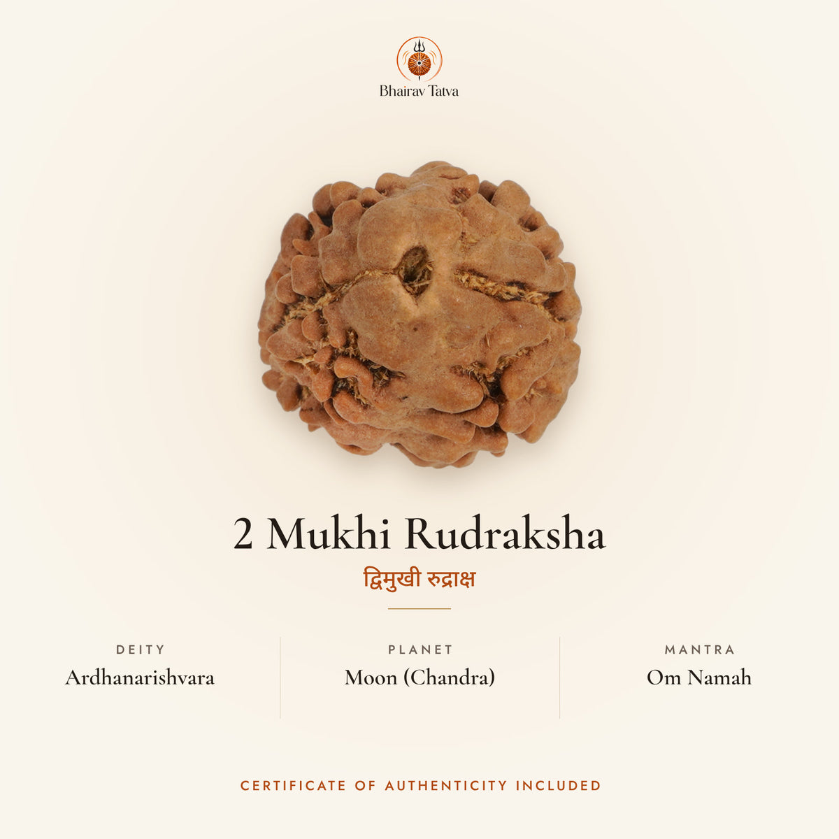 2 Mukhi Rudraksha: deity Ardhanarishvara, planet Moon (Chandra), mantra Om Namah