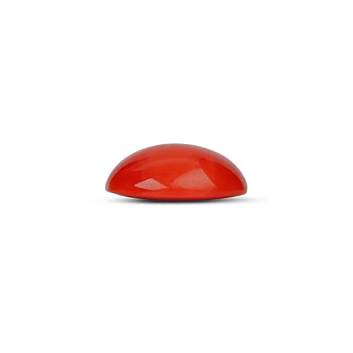 Red Coral - 5114