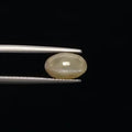 Cats Eye - 3373