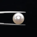 Pearl - 3580