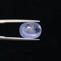 Blue Sapphire - 3120