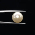 Pearl - 3591
