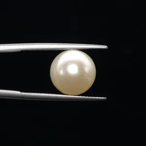 Pearl - 3591