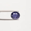 Iolite - 2931