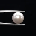 Pearl - 3579